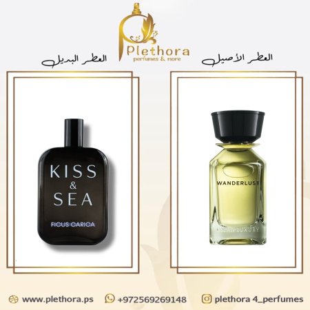 بديل وندرلاست