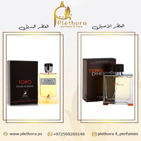 بديل تيري دي هيرميس