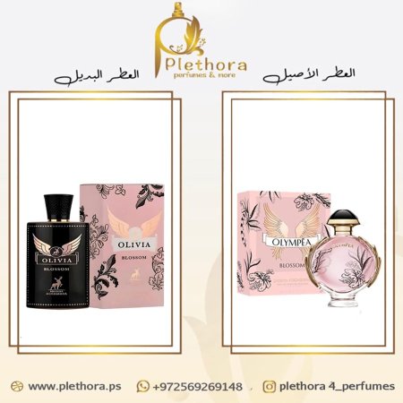 بديل اوليمبيا بلوسوم