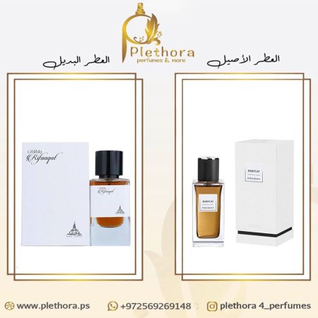 بديل عطر  بيبي كات