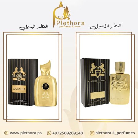 بديل جودلفين ديمارلي