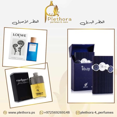 بديل (بور لي هوم من كاشاريل + لويفي 7 من لويفي)