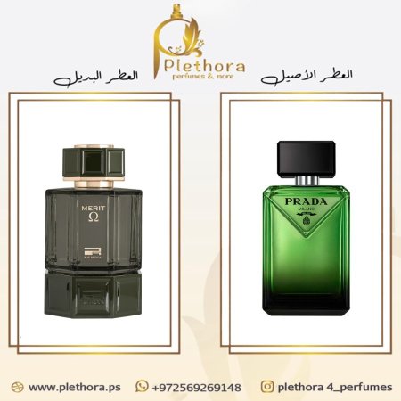 بديل برادا بارادايم