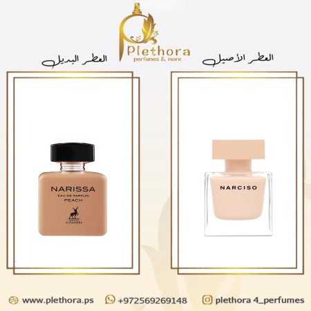 بديل نارسيسو باودري