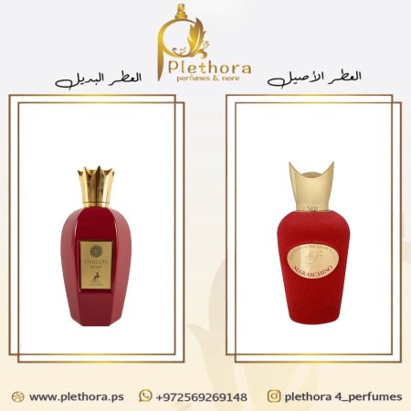 بديل ماراشينو