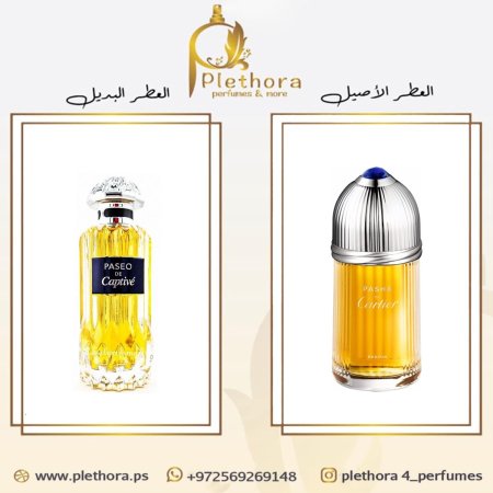 باشا دي كارتير