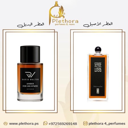بديل عنبر سلطان