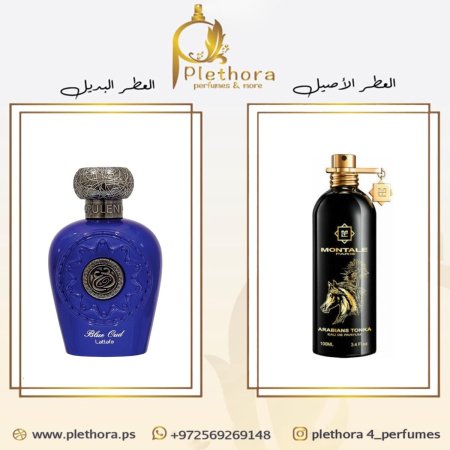 بديل اريبيانز تونكا