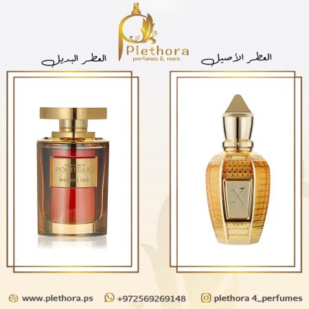 بديل لوكسور