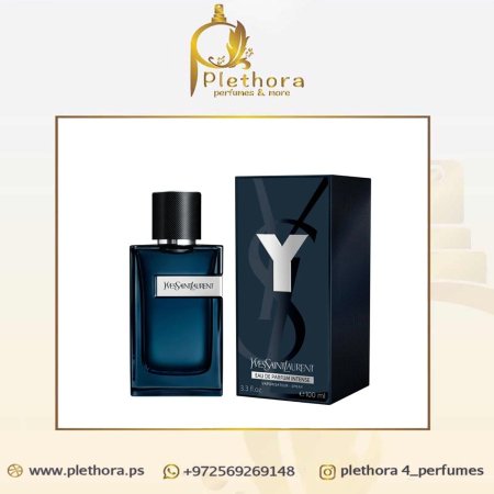 واي ايف سان لوران ايدي بي انتنس